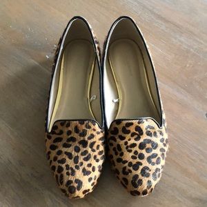 Animal print shoes